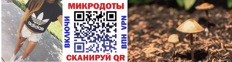 маркетплейс официальный сайт  kraken ссылки  Щучье  Галлюциногенные грибы MAGIC MUSHROOMS 